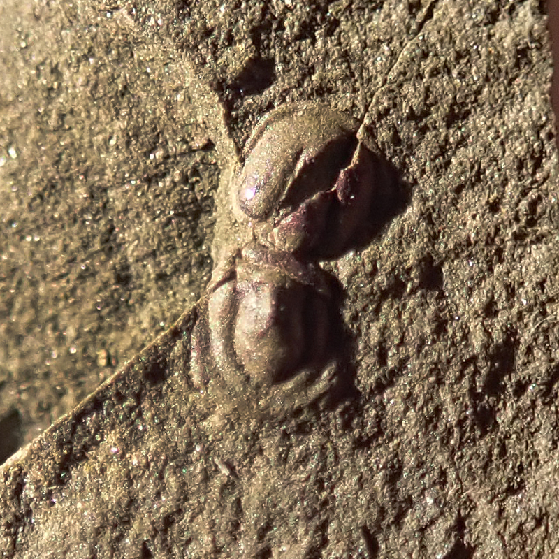 Obr. 1