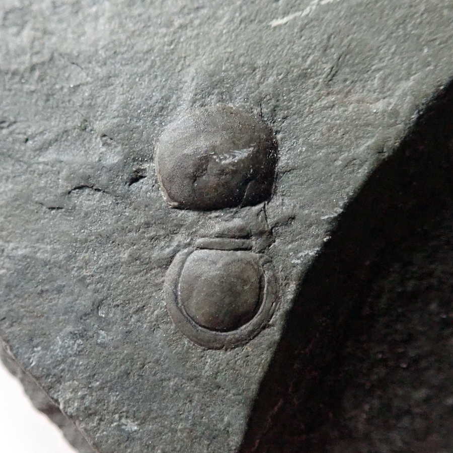 12 mm (sag), Jince